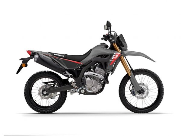 Kopie CRF300L